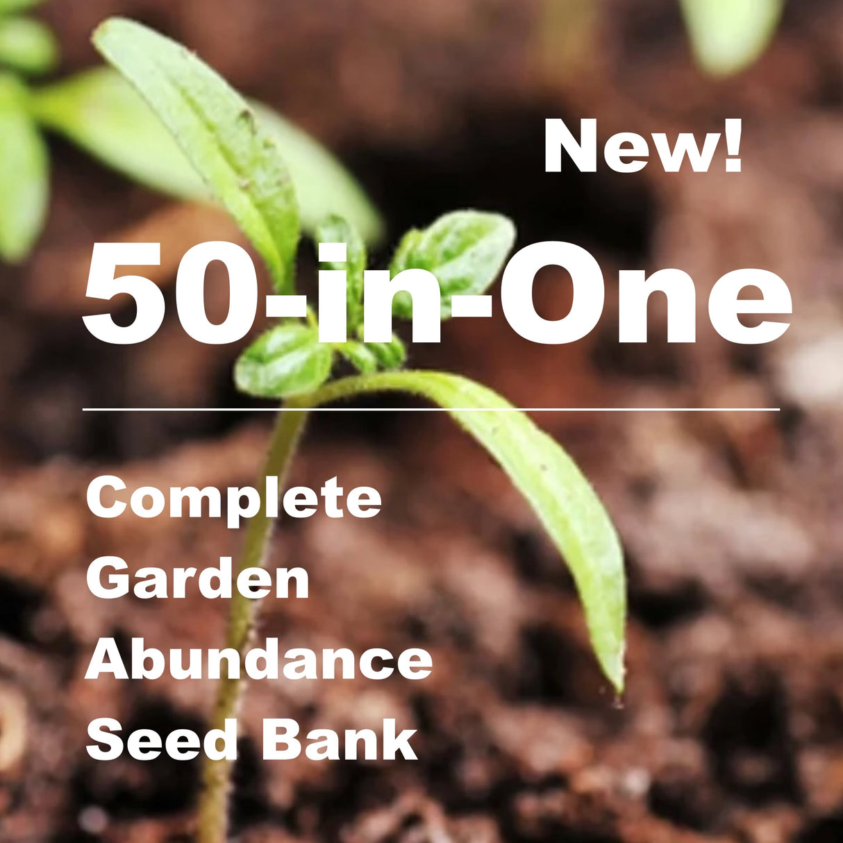 Complete Garden Abundance Seed Bank featuring 50 NON-GMO heirloom seed varieties with moisture-proof packaging and storage vault