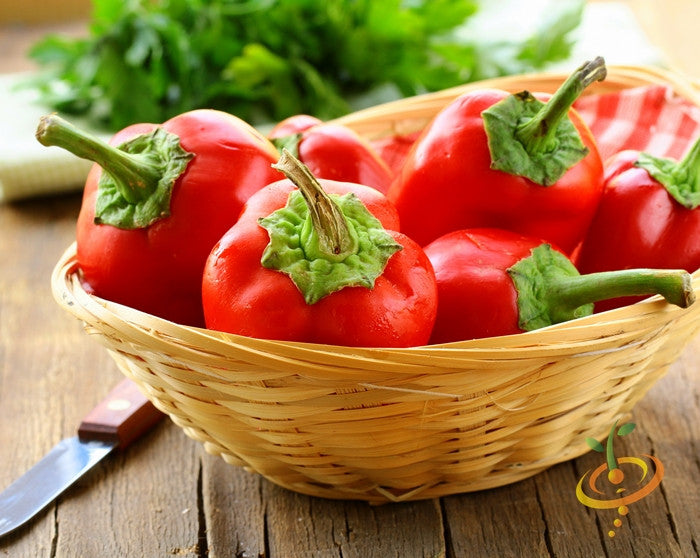 Basket of fresh red sweet pimento peppers with green stems on a wooden table