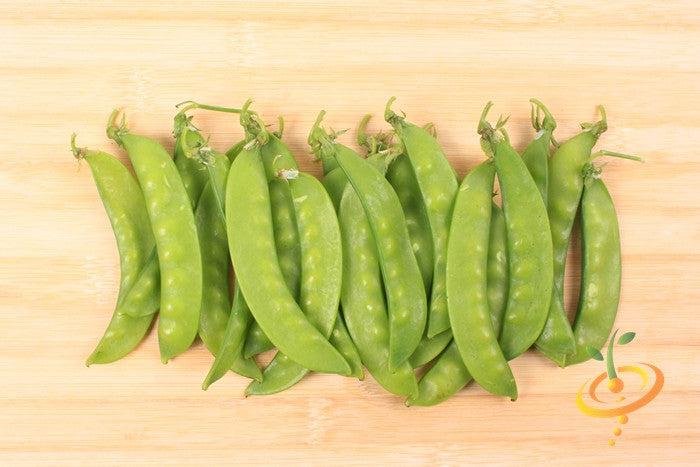 Oregon Giant snow pea seeds from SeedsNow, showing fresh green pea pods and seeds ready for planting.