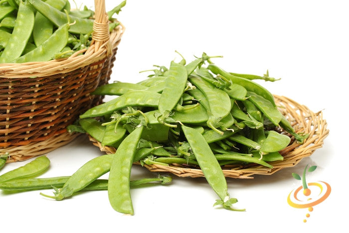 Oregon Giant snow pea seeds from SeedsNow, showing fresh green pea pods and vibrant foliage on a plant.