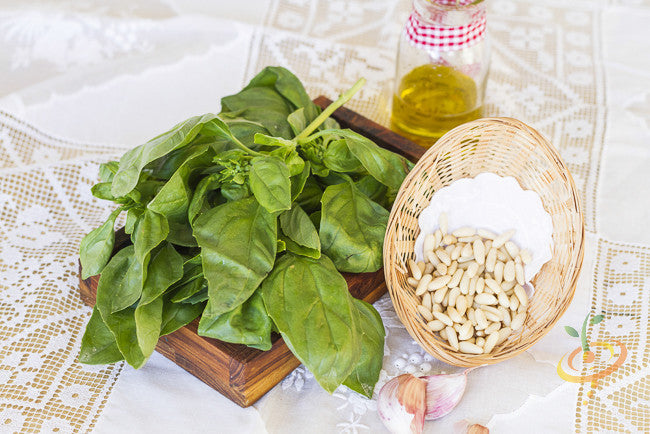 Fresh basil and lime seeds from SeedsNow, showing the small seed packets on a white background.