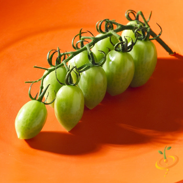 Green Grape Tomato Seeds (100% Heirloom/Non-Hybrid/Non-GMO)
