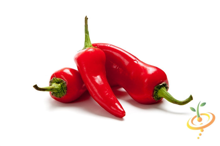 Fresno Chili hot pepper seeds from SeedsNow, showing vibrant red Fresno peppers and seed packaging on a white background.