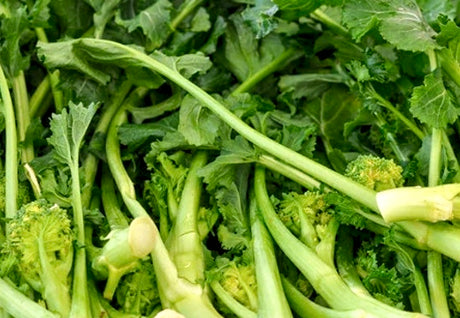 All Broccoli Rapini Raab Seeds