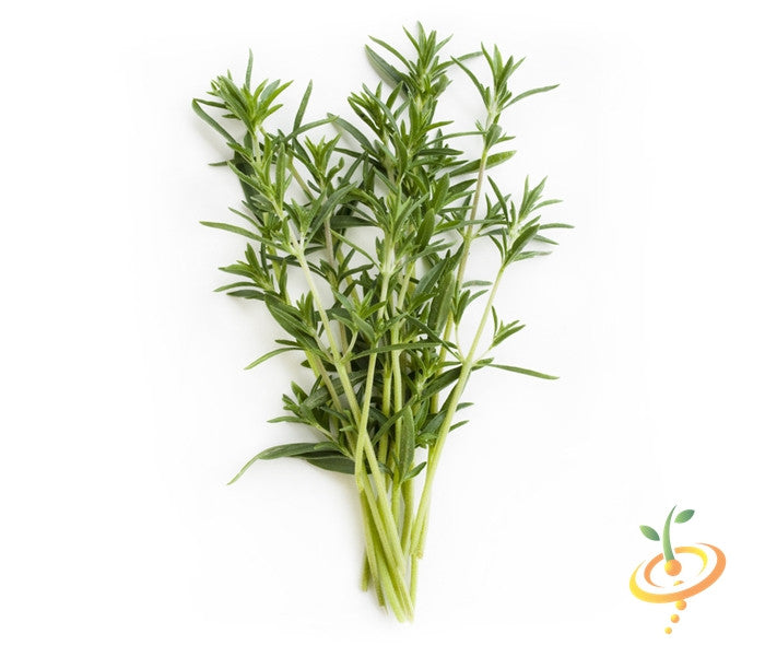 Summer Savory.