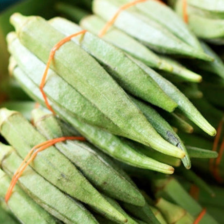 Okra - Emerald Green Velvet.