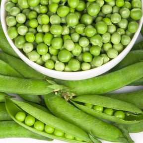 Green Arrow pea seeds by SeedsNow, showing fresh green pea pods and seeds ready for planting or harvest.